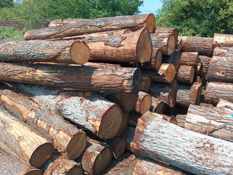 ROUND OAK WOOD WITH BARK 