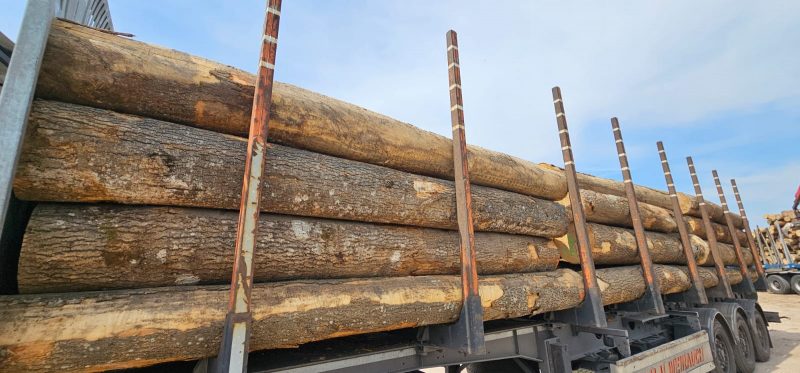 ROUND ASH WOOD WITH BARK 