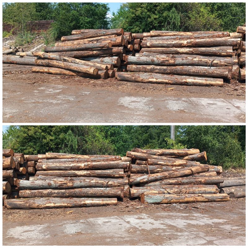 ROUND OAK WOOD WITH BARK 