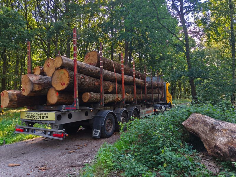 ROUND OAK WOOD WITH BARK 