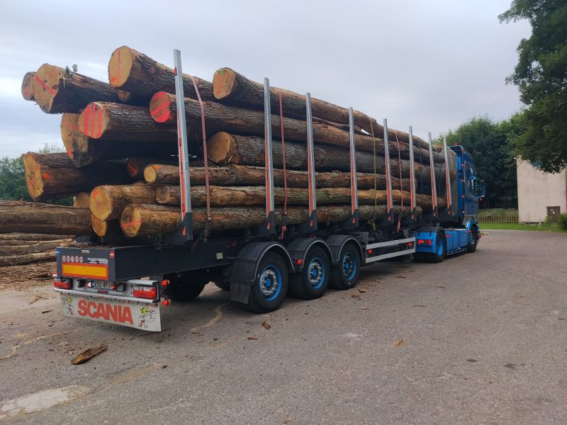 ROUND OAK WOOD WITH BARK 