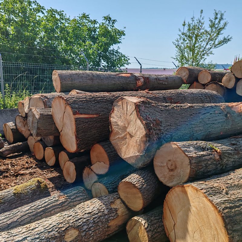 ROUND OAK WOOD WITH BARK 