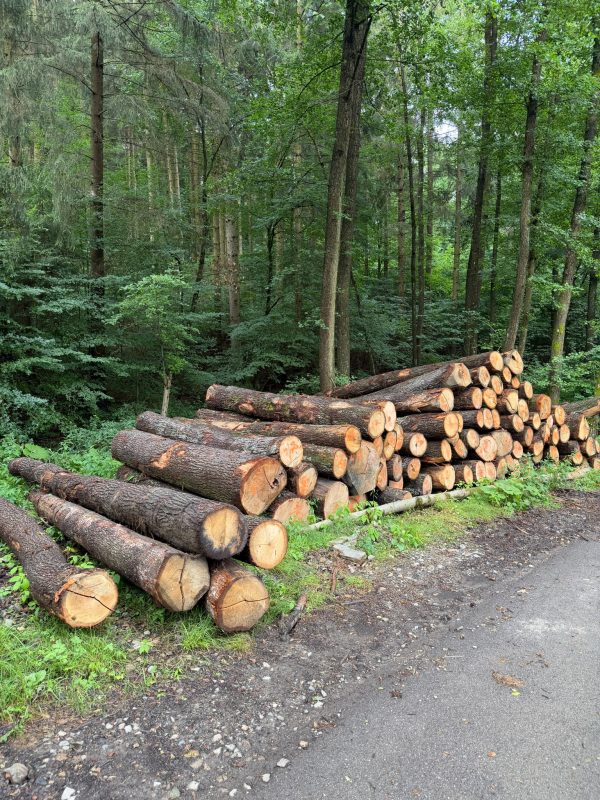 ROUND OAK WOOD WITH BARK 