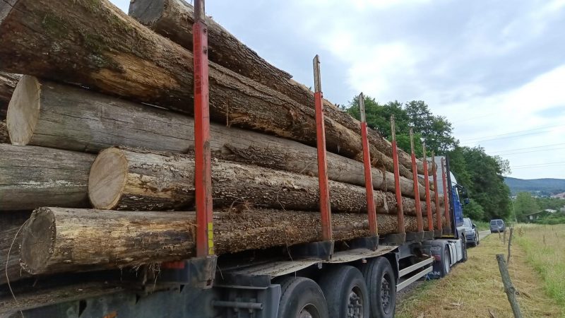 ROUND OAK WOOD WITH BARK 