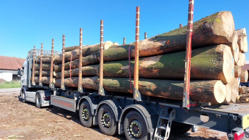 ROUND ASH WOOD WITH BARK 