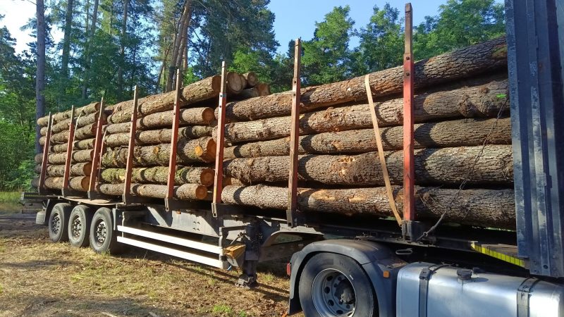 ROUND ALDER WOOD WITH BARK 