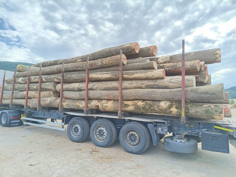 ROUND ASH WOOD WITH BARK 