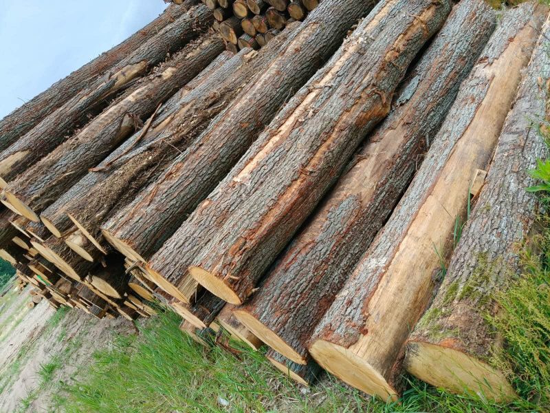 ROUND OAK WOOD WITH BARK 