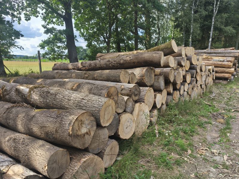 ROUND ASH WOOD WITH BARK 