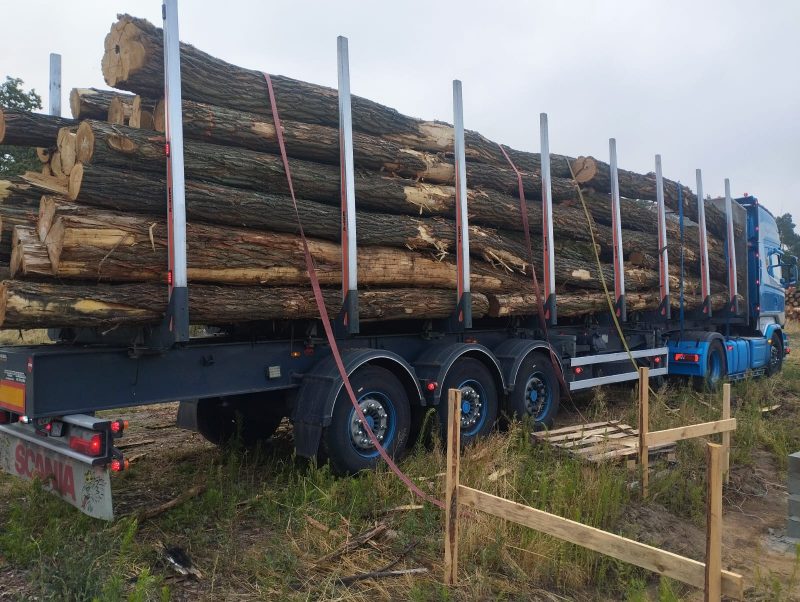 ACACIA LOGS 