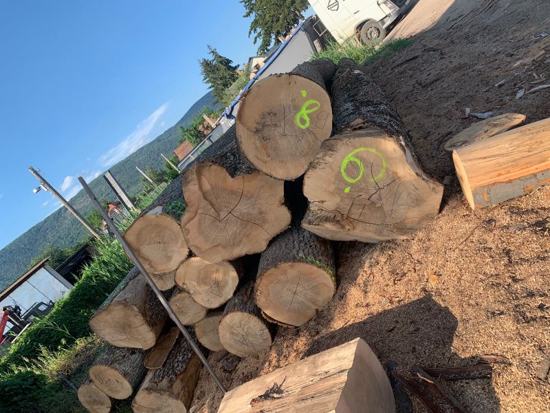 ROUND ASH WOOD WITH BARK 