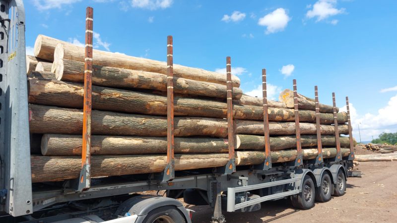 image ROUND ASH WOOD WITH BARK  EUROEXPO-NET
