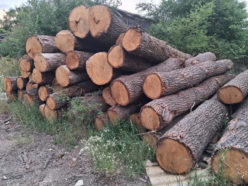 image ROUND OAK WOOD WITH BARK  EUROEXPO-NET