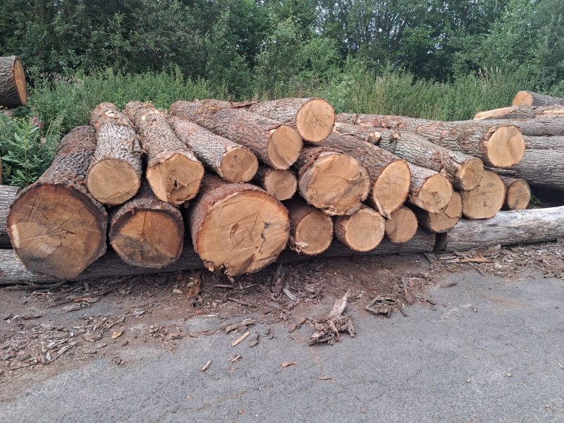 image ROUND OAK WOOD WITH BARK  EUROEXPO-NET