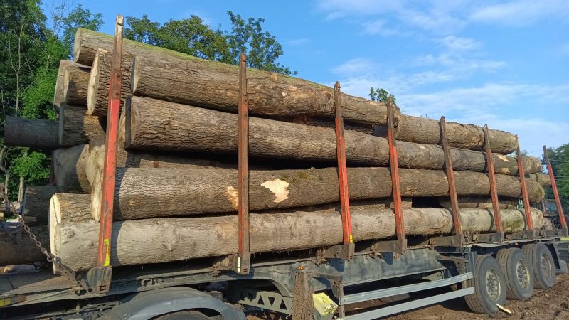 ROUND ASH WOOD WITH BARK 