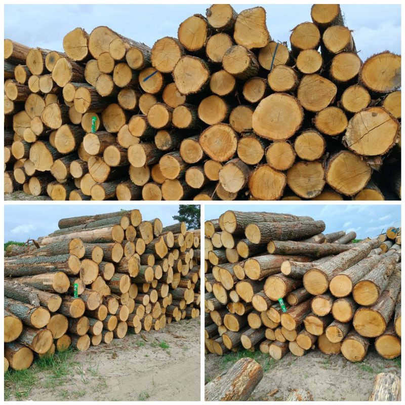 image ROUND OAK WOOD WITH BARK  EUROEXPO-NET