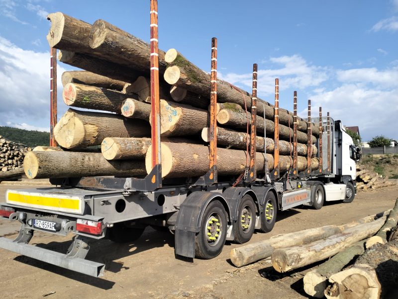 image ROUND ASH WOOD WITH BARK  EUROEXPO-NET