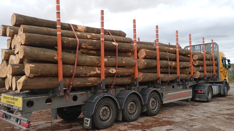 image ROUND ASH WOOD WITH BARK  EUROEXPO-NET
