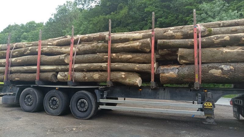 ROUND ASH WOOD WITH BARK 