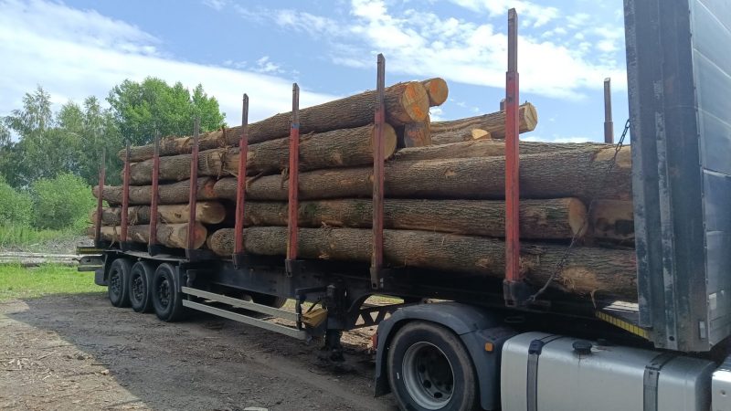 ROUND OAK WOOD WITH BARK 