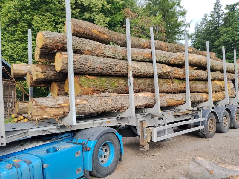 ROUND OAK WOOD WITH BARK 