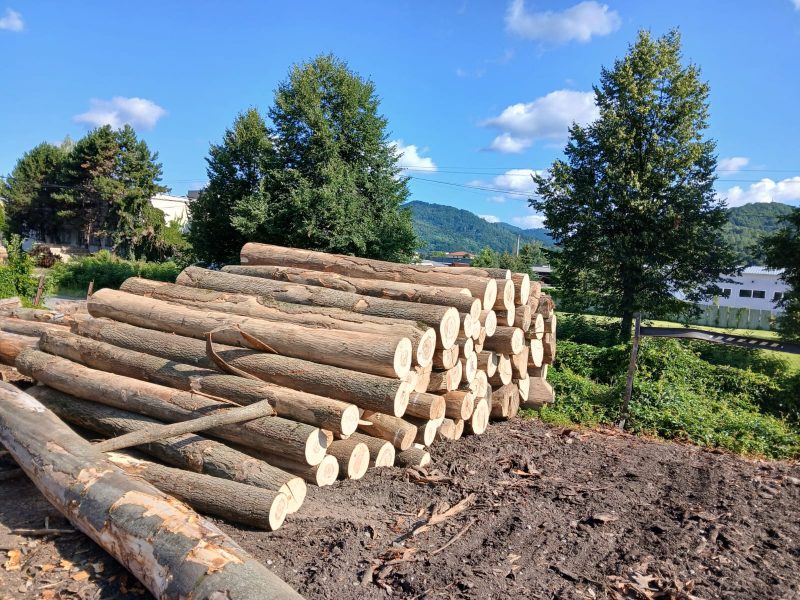 ROUND ASH WOOD WITH BARK 