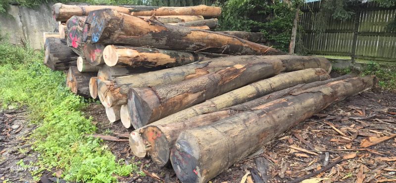 ROUND OAK WOOD WITH BARK 