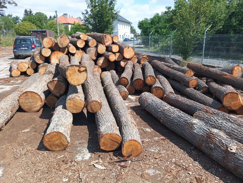 ROUND OAK WOOD WITH BARK 