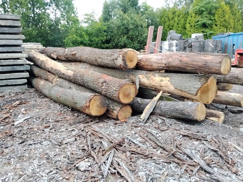 ROUND OAK WOOD WITH BARK 