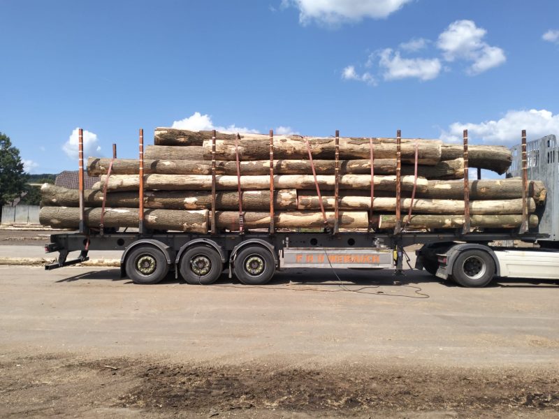 ROUND ASH WOOD WITH BARK 