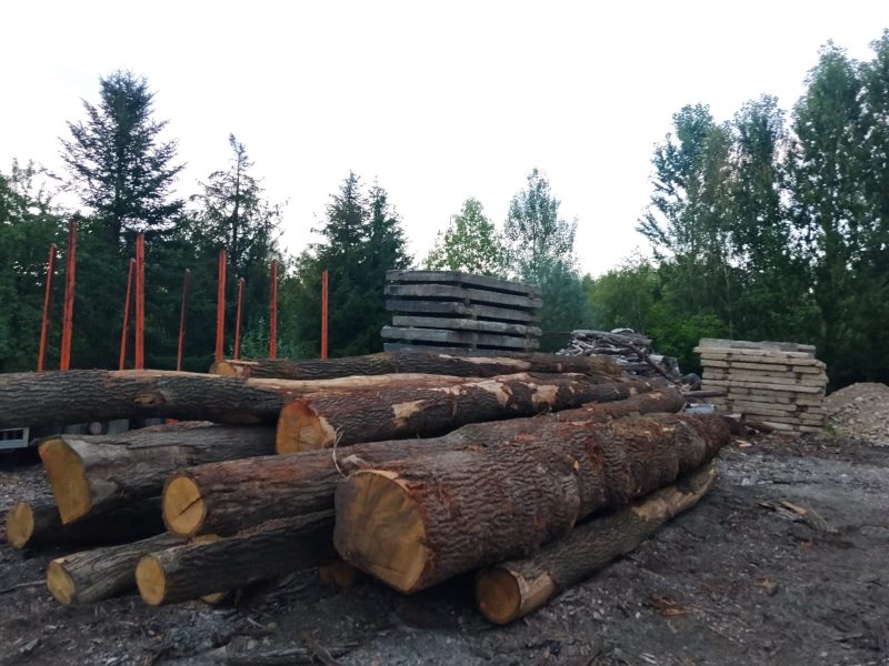 ROUND OAK WOOD WITH BARK 
