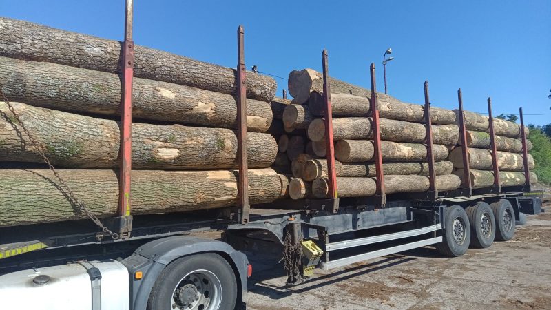 ROUND ASH WOOD WITH BARK 