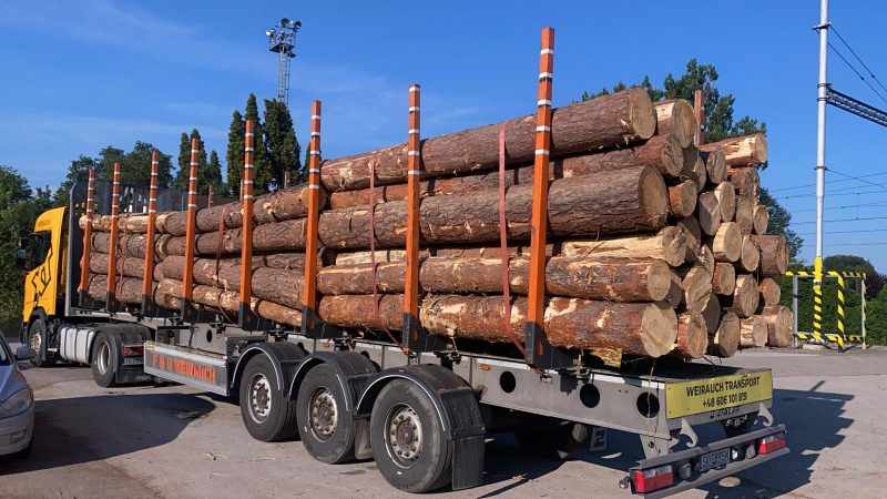 ROUND PINEWOOD WITH BARK 