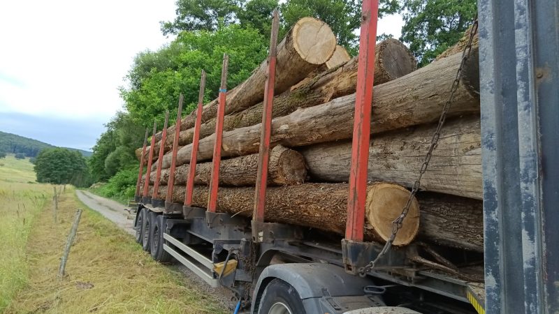 ROUND OAK WOOD WITH BARK 