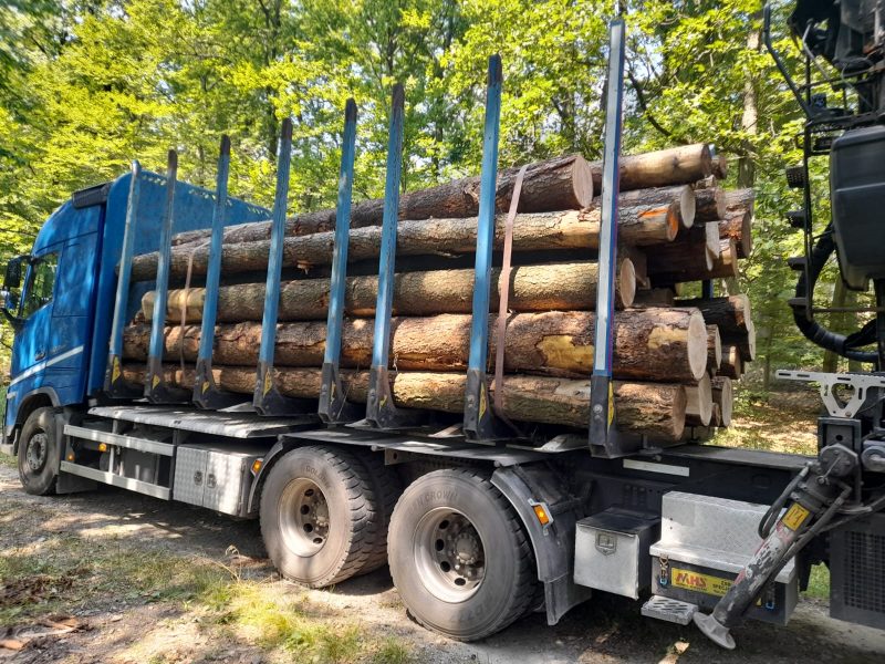 DOUGLAS-FIR LOGS 