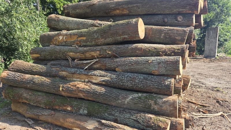 ROUND OAK WOOD WITH BARK 