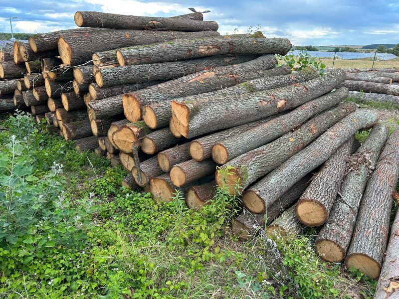 ROUND OAK WOOD WITH BARK 