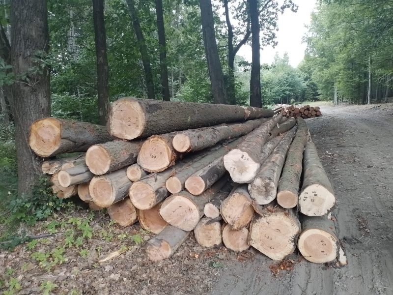 DOUGLAS-FIR LOGS 