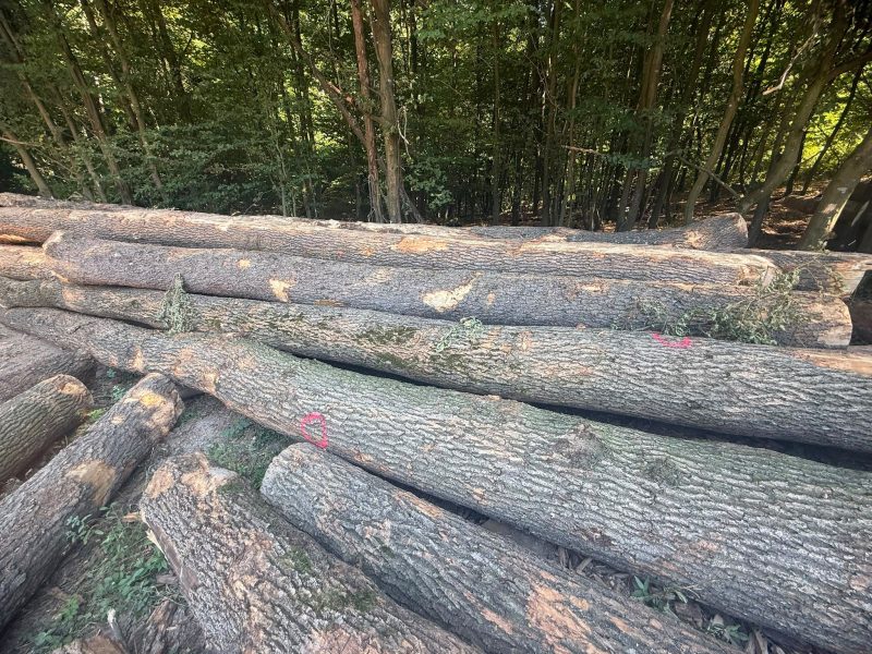 ROUND ASH WOOD WITH BARK 