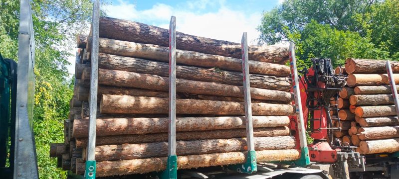 image ROUND PINEWOOD WITH BARK  EUROEXPO-NET