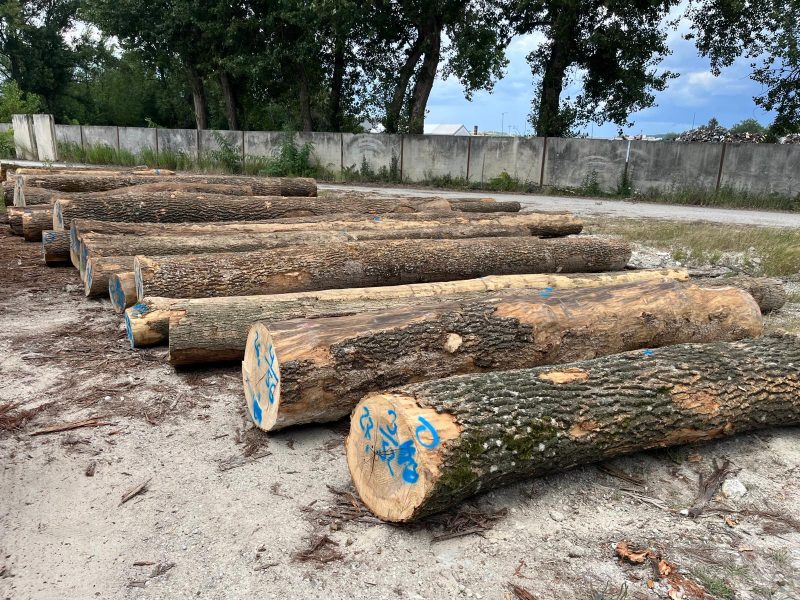 ROUND ASH WOOD WITH BARK 