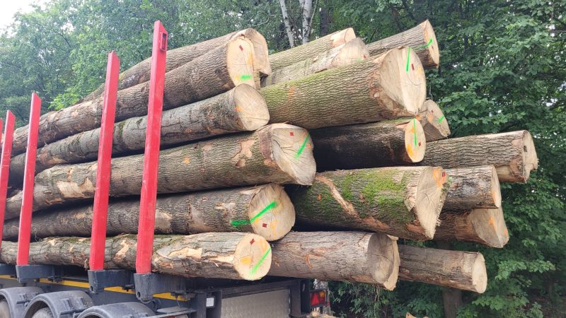 ROUND ASH WOOD WITH BARK 