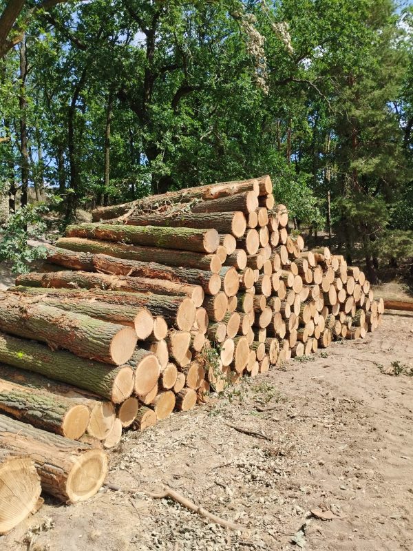 image ROUND OAK WOOD WITH BARK  EUROEXPO-NET
