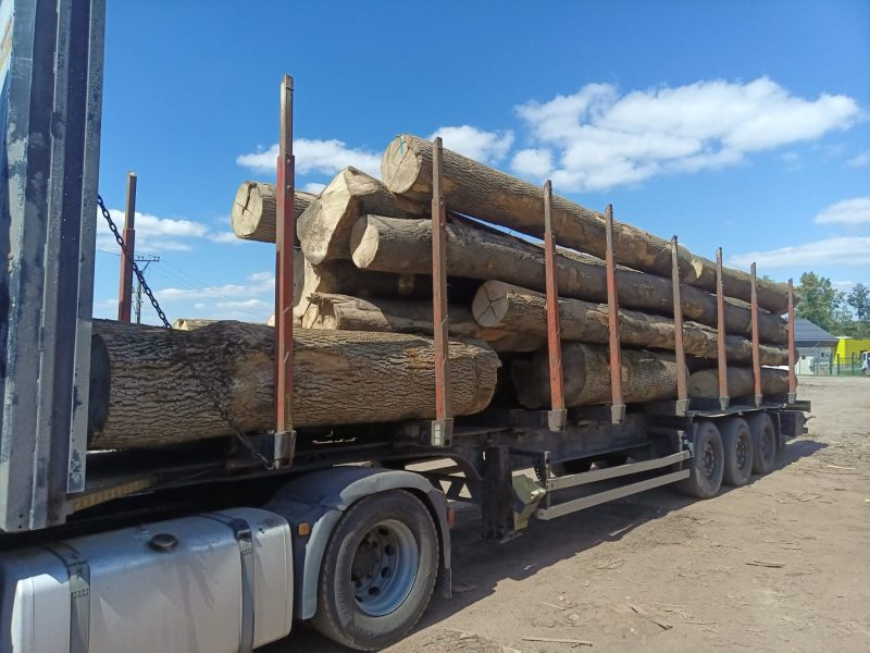 image ROUND ASH WOOD WITH BARK  EUROEXPO-NET