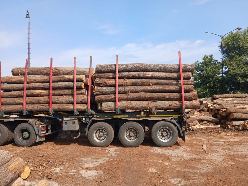 image ROUND OAK WOOD WITH BARK  EUROEXPO-NET