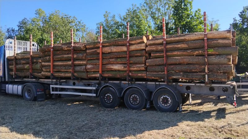 image ROUND OAK WOOD WITH BARK  EUROEXPO-NET