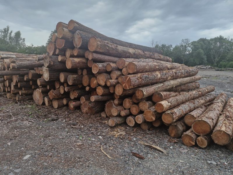 image LARCH WOOD ROUND WITH BARK  EUROEXPO-NET