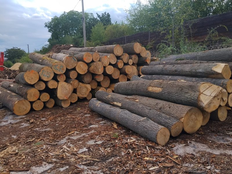 ROUND ASH WOOD WITH BARK 