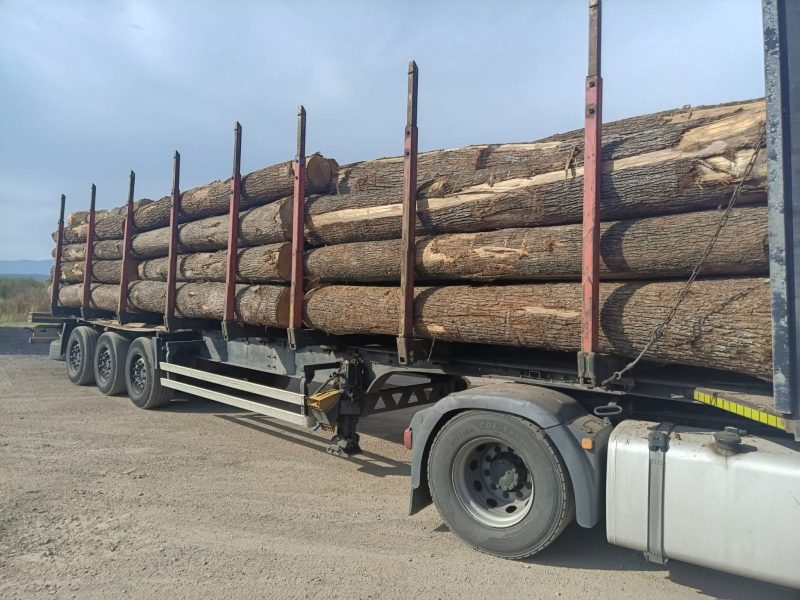 image ROUND OAK WOOD WITH BARK  EUROEXPO-NET