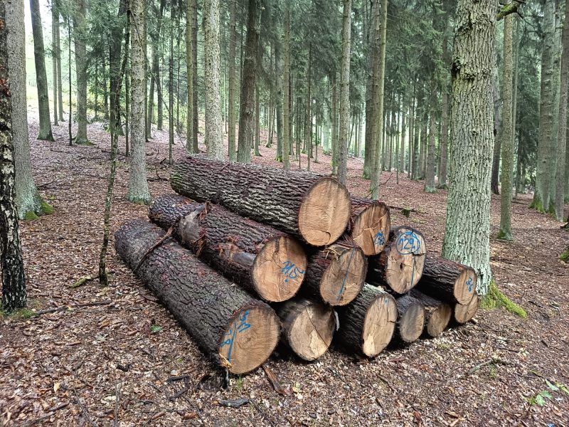 image ROUND OAK WOOD WITH BARK  EUROEXPO-NET